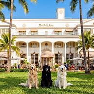 The Betsy - South Beach