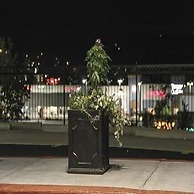 Grand View Inn and Suites