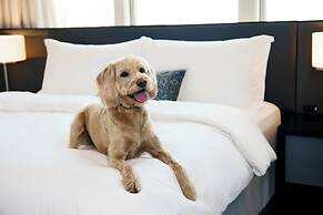 Loews Philadelphia Hotel