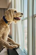 Loews Philadelphia Hotel