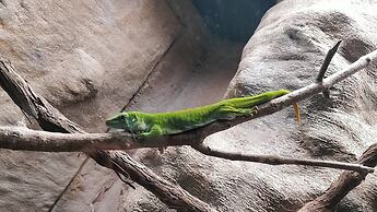 Holiday Inn Hotel & Suites London by IHG