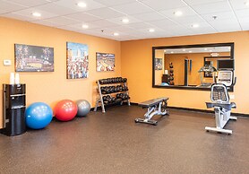 Holiday Inn St. Louis Arpt West-Earth City by IHG
