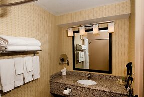 Holiday Inn St. Louis Arpt West-Earth City by IHG