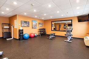 Holiday Inn St. Louis Arpt West-Earth City by IHG