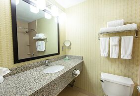 Holiday Inn St. Louis Arpt West-Earth City by IHG