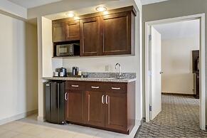 Holiday Inn St. Louis Arpt West-Earth City by IHG