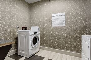 Holiday Inn St. Louis Arpt West-Earth City by IHG