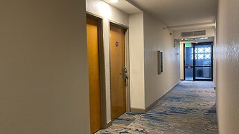 Destiny Palms Hotel Maingate West