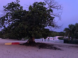 Allamanda Beach Hotel