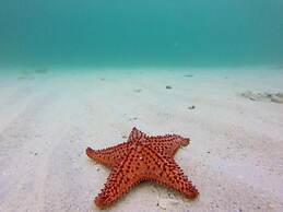 Allamanda Beach Hotel