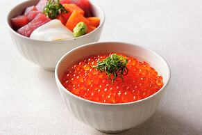 Hotel Nikko Northland Obihiro