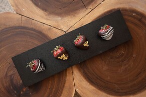 Sun Palace Cancun - Adults Only - All-inclusive