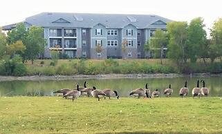 Wingate by Wyndham - Montgomery