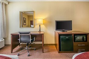 Comfort Inn & Suites Kissimmee by the Parks