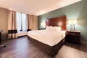 Comfort Inn & Suites Kissimmee by the Parks