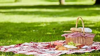 Holiday Inn Express London Gatwick - Crawley by IHG