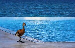 Jumby Bay Island - Oetker Collection