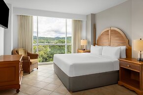 Gamboa Rainforest Reserve