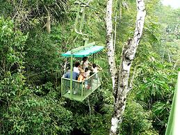 Gamboa Rainforest Reserve