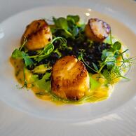 Shannon Springs Hotel