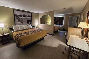 Super 8 by Wyndham Arkadelphia Caddo Valley Area