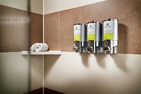 Staypineapple, Hotel Rose, Downtown Portland