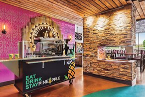 Staypineapple, Hotel Rose, Downtown Portland