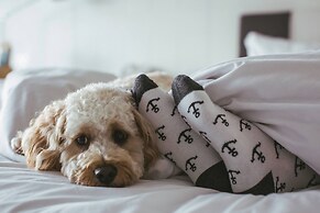 Pier One Sydney Harbour, Marriott Autograph Collection