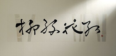 Hilton Tokyo Narita Airport