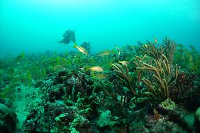 True Blue Bay Resort