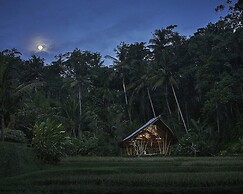 Four Seasons Resort Bali at Sayan