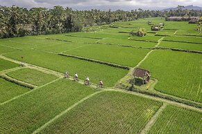 Four Seasons Resort Bali at Sayan