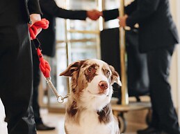 Grand Mercure Sao Paulo Ibirapuera