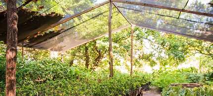 Vila Galé Cabo – All Inclusive