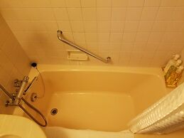 Matsuyama Tokyu REI Hotel