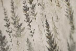 Gran Baita Hotel & Wellness