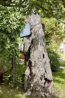 Romantik Hotel Zell am See