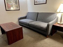 Microtel Inn and Suites by Wyndham Bloomington MSP Airport