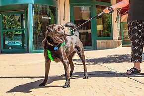 Residence Inn By Marriott New Rochelle