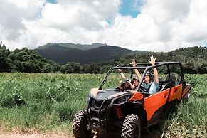 El Conquistador Resort