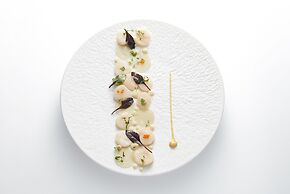 Le Castel Marie Louise