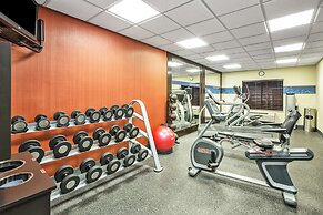 Hampton Inn Hotel Detroit/Belleville-Airport Area