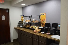 Microtel Inn & Suites by Wyndham Baltimore BWI Airport