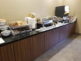 Comfort Inn & Suites North Dallas - Addison