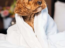 Sofitel Philadelphia at Rittenhouse Square