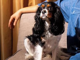 Sofitel Philadelphia at Rittenhouse Square