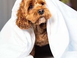 Sofitel Philadelphia at Rittenhouse Square