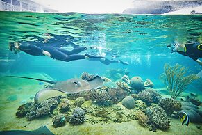 Daydream Island Resort