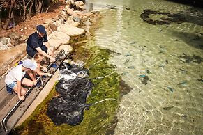 Daydream Island Resort