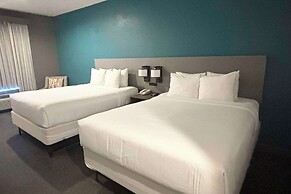 Comfort Inn & Suites Burnet